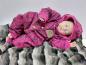 Preview: Softshell Druck Blütenwiese Pink/Beere by Liebefein
